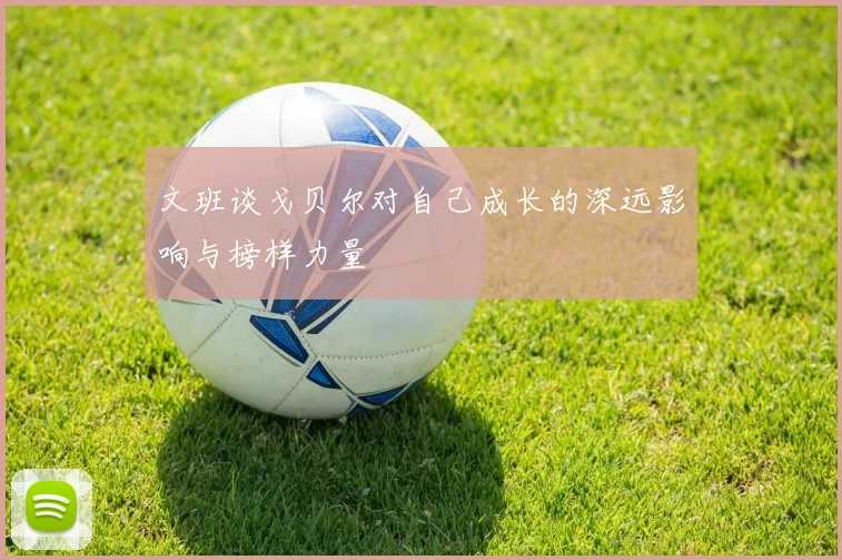 文班谈戈贝尔对自己成长的深远影响与榜样力量
