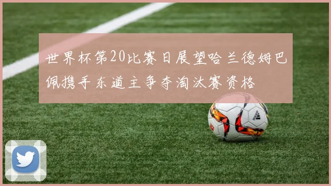 世界杯第20比赛日展望哈兰德姆巴佩携手东道主争夺淘汰赛资格