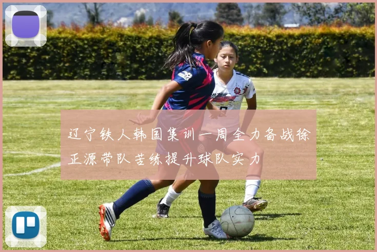 辽宁铁人韩国集训一周全力备战徐正源带队苦练提升球队实力