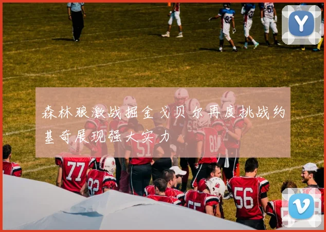 森林狼激战掘金戈贝尔再度挑战约基奇展现强大实力