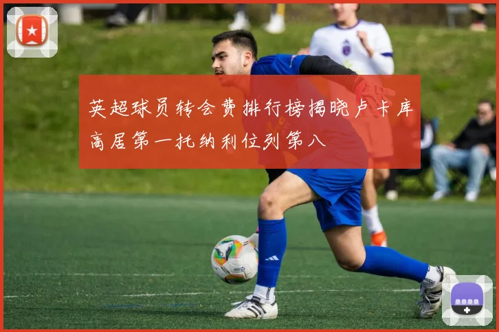 英超球员转会费排行榜揭晓卢卡库高居第一托纳利位列第八
